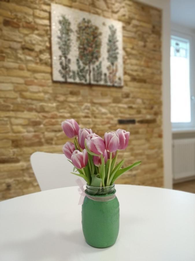 B&B Dimora Damiani Montefiore dellʼAso 外观 照片
